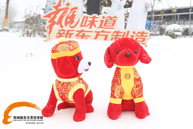 ֣���¶������ѧУѩ������