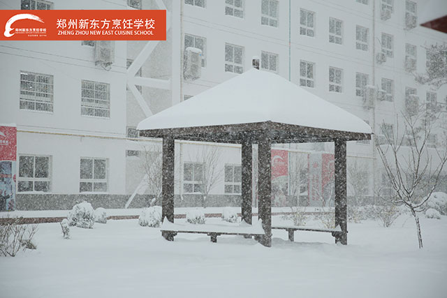 ֣���¶������ѧУѩ��Сͤ��