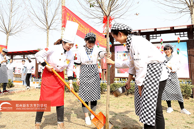 郑州新东方植树节