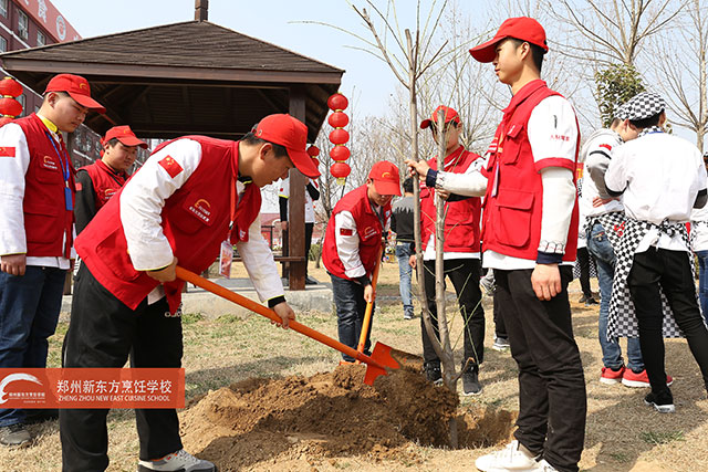 郑州新东方植树节
