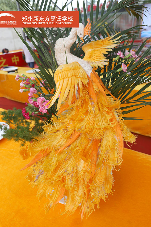 ֣���¶��������