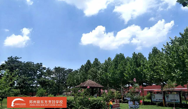 ֣���¶���У԰����