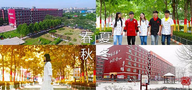 郑州新东方一年四季