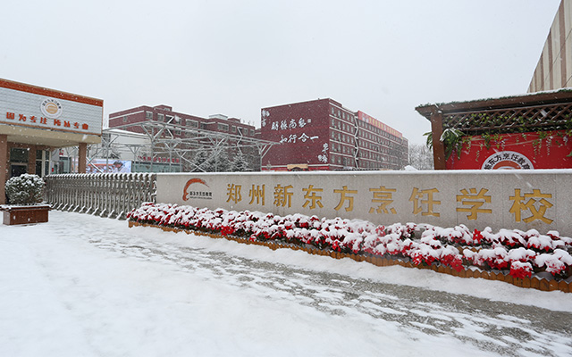 新东方的雪