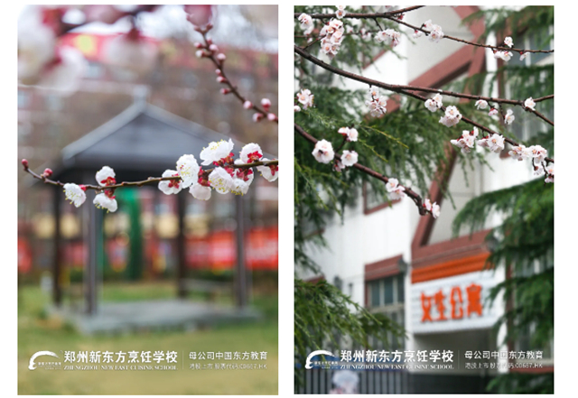 郑州新东方一年四季