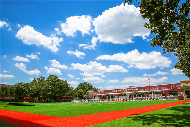 3fd8437952c5b9a6f9b2aff4785e61be_983a8d13fe755f5b075163ec95a